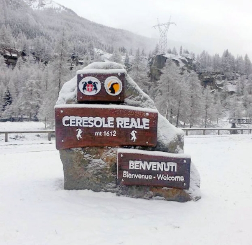 Legno grezzo per indicazione di entrata paese