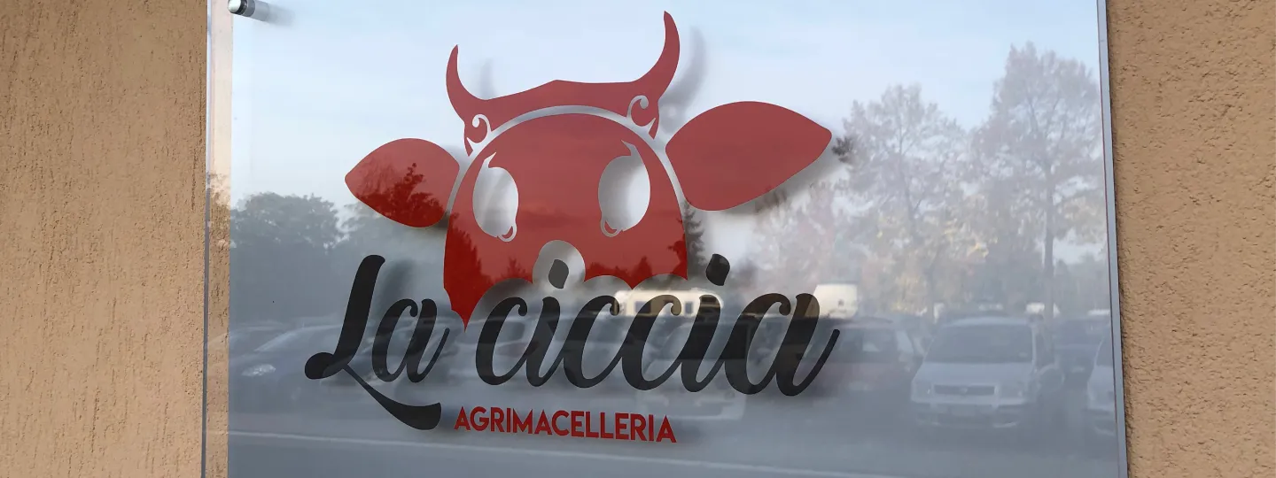 Insegne in Plexiglass