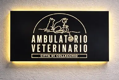 Insegne Luminose
