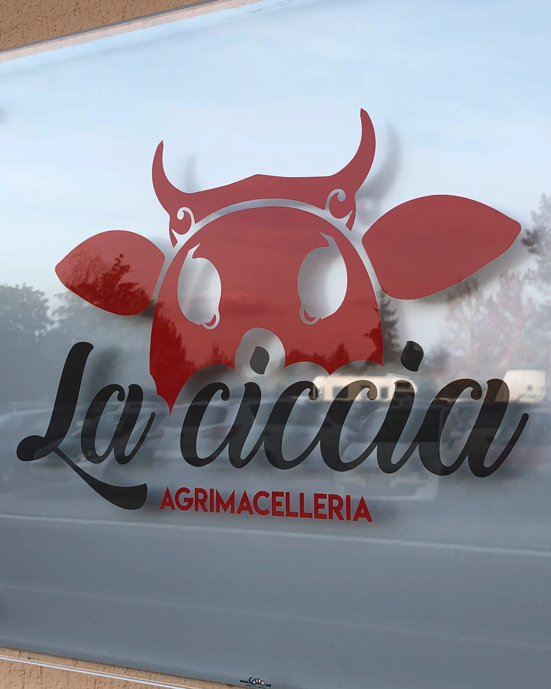 Insegne in Plexiglass